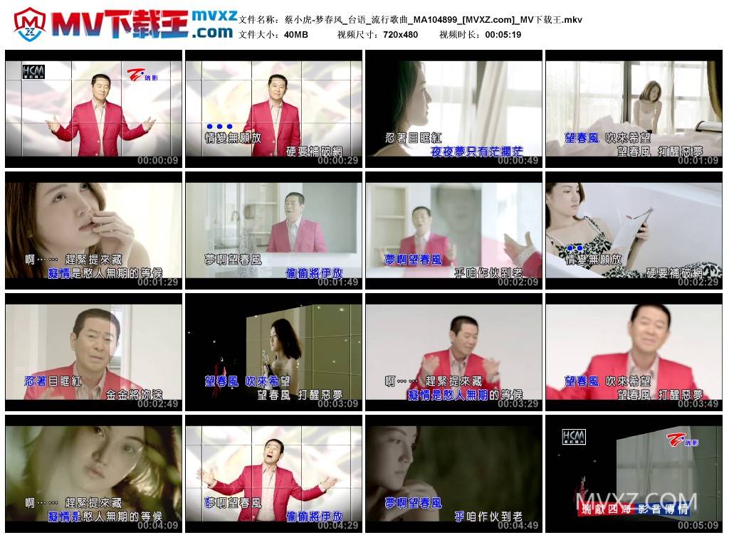 蔡小虎-梦春风_台语_流行歌曲_MA104899